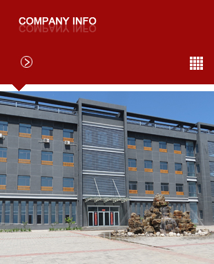 COMPANY-INFO